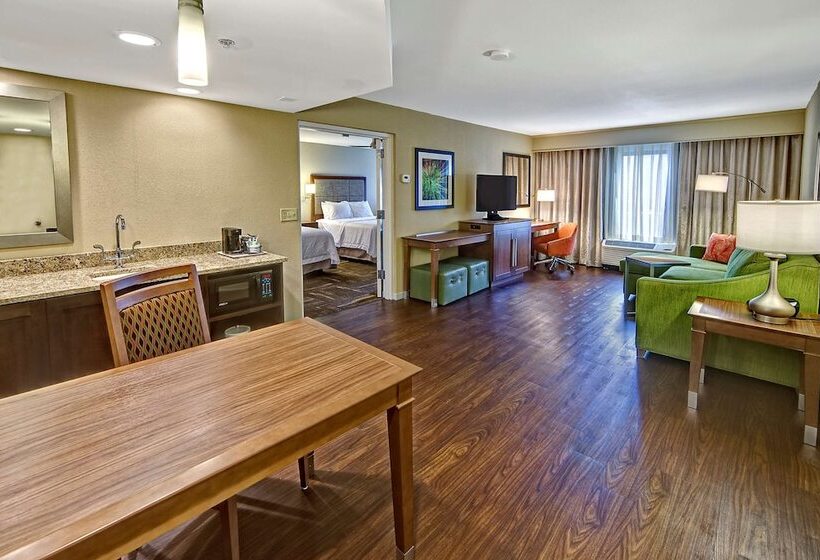 سوییت, Hampton Inn & Suites Asheville Airport