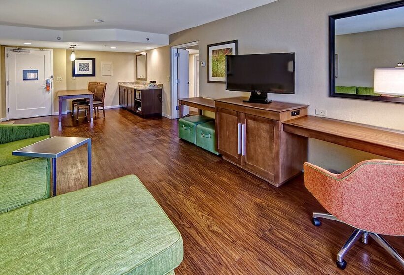 سوییت, Hampton Inn & Suites Asheville Airport