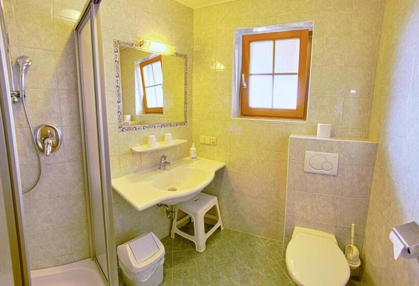 Номер Basic, Pension Bergbauernhof Irxner