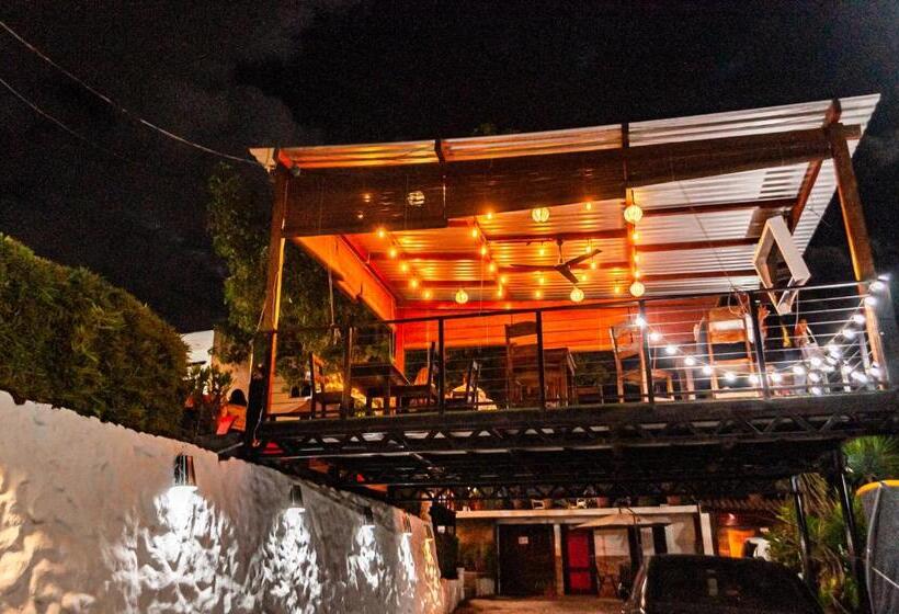 اتاق استاندارد چهارنفره با چشم‌انداز باغ, Villa Napoli