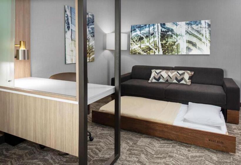 Люкс Кровать Кинг, Springhill Suites By Marriott Durham City View