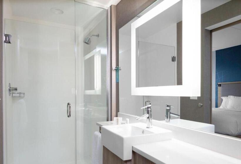 Люкс, Springhill Suites By Marriott Durham City View