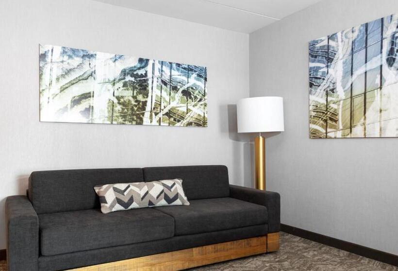Люкс Адаптированный для Инвалидов, Springhill Suites By Marriott Durham City View