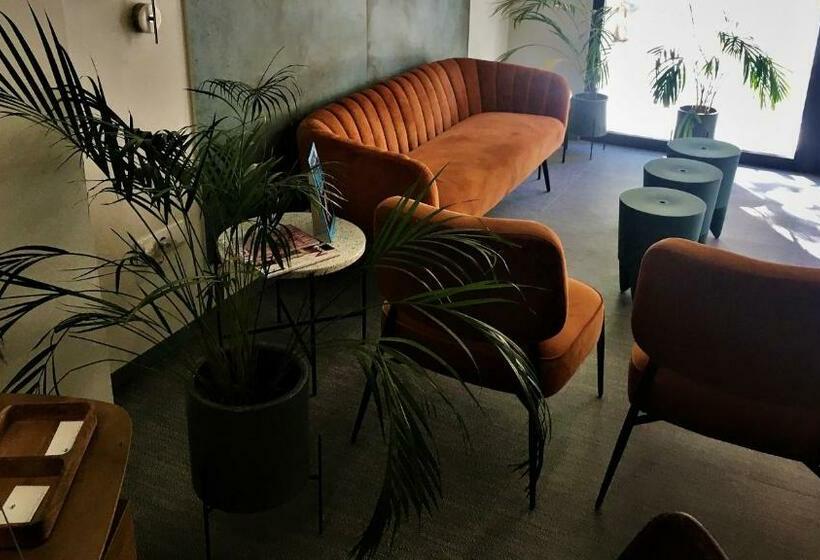标准单人间, Md Modern Hotel   Jardines