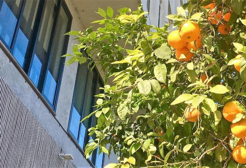 四人高级间, Md Modern Hotel   Jardines