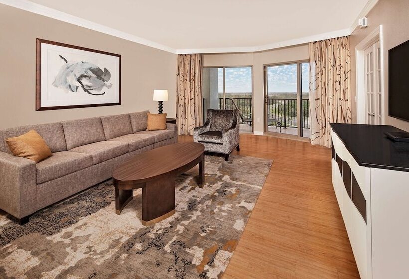 سوئیت 2 خوابه, Hilton Grand Vacations Club Parc Soleil Orlando