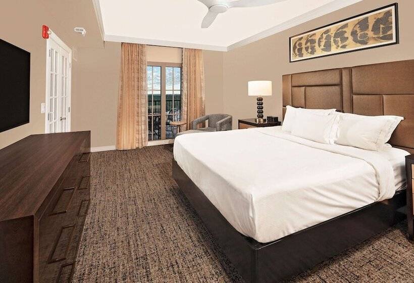 سوئیت 2 خوابه, Hilton Grand Vacations Club Parc Soleil Orlando