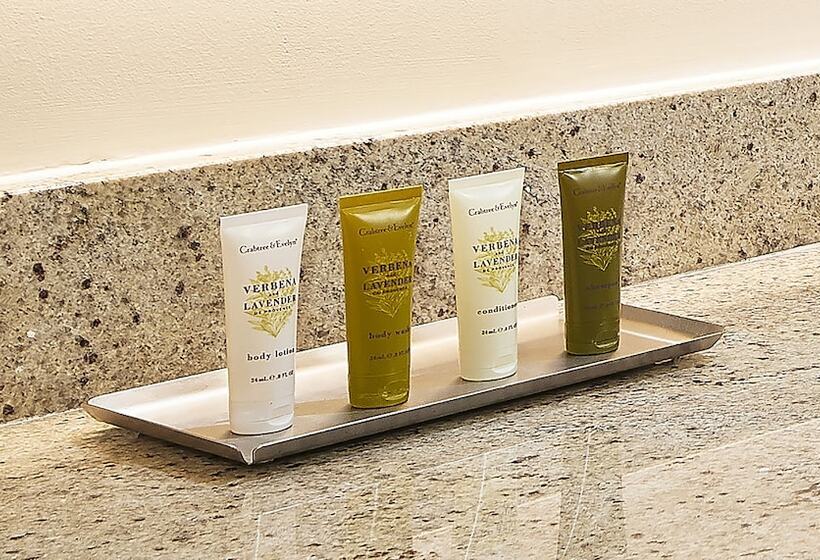 سوئیت 2 خوابه, Hilton Grand Vacations Club Parc Soleil Orlando