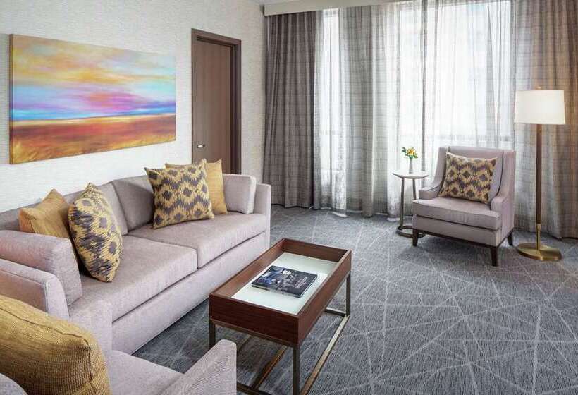 سوئیت با تخت بزرگ, Hilton Grand Vacations Club Parc Soleil Orlando