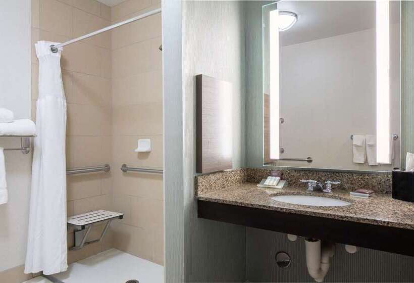 سوئیت با تخت بزرگ, Hilton Grand Vacations Club Parc Soleil Orlando