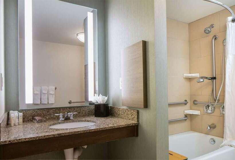 سوئیت با تخت بزرگ, Hilton Grand Vacations Club Parc Soleil Orlando