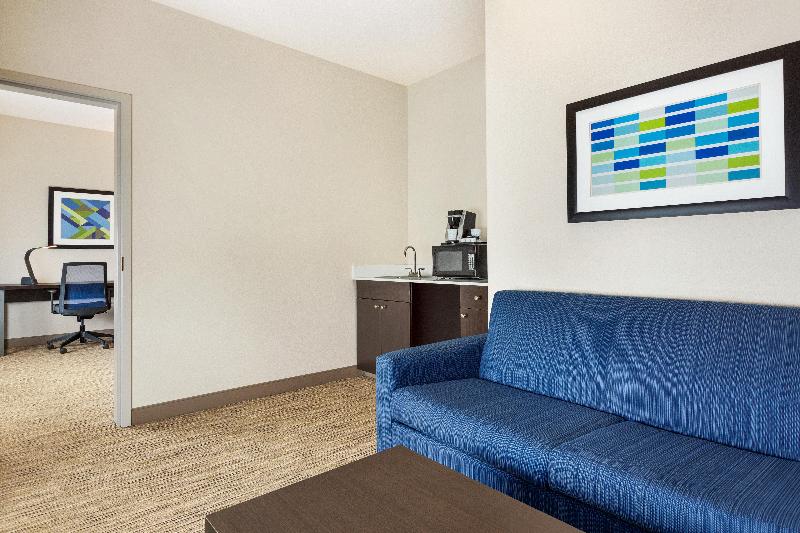 Suite Lit King, Holiday Inn Express Hotel & Suites San Antonio Nw Medical Area, An Ihg