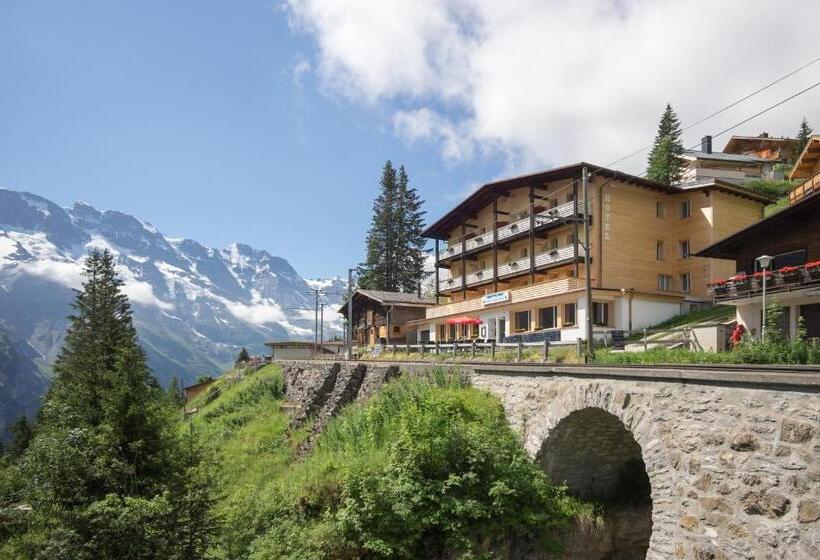 اتاق استاندارد یک نفره, Alpenblick Mürren