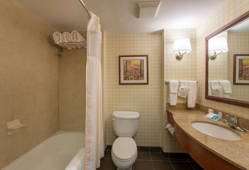 带2个双人床的标准工作室, Hilton Garden Inn Manchester Downtown