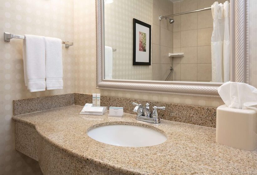 Номер Стандарт, Hilton Garden Inn Omaha West