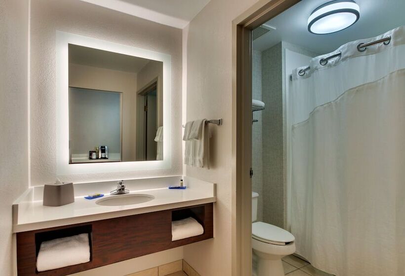 スイート, Holiday Inn Express Hotel & Suites   Atlanta/emory University Area, An Ihg