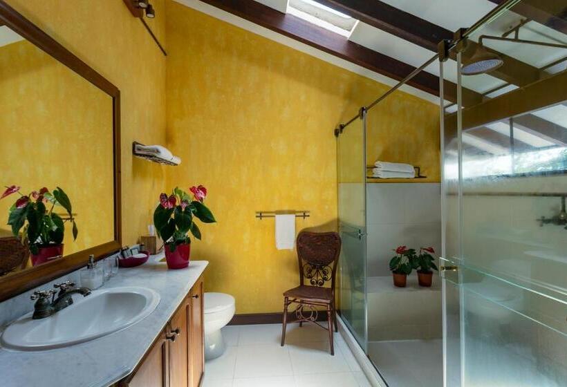Люкс, Sazagua Hotel Boutique
