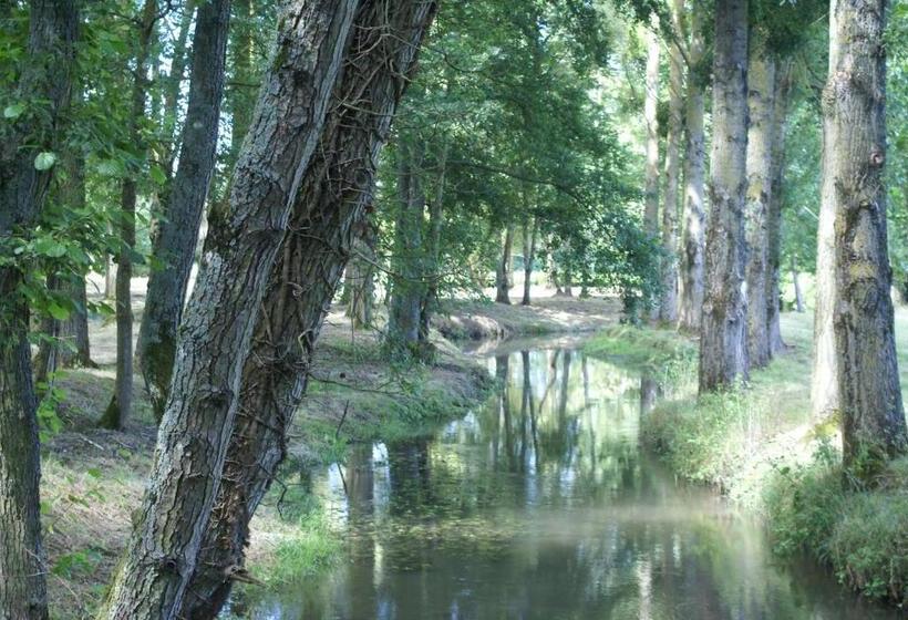 Номер Стандарт Вид на Сад, Moulin De Champrond  Montmirail  Sarthe