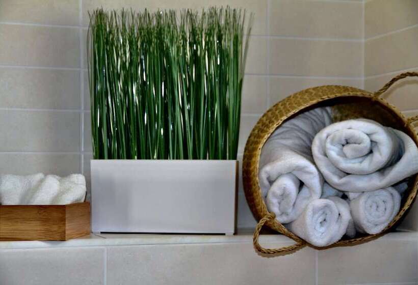 חדר סטנדרט יחיד מותאם לאדם עם מוגבלויות, Casas Heddy, Wellbeing Resort