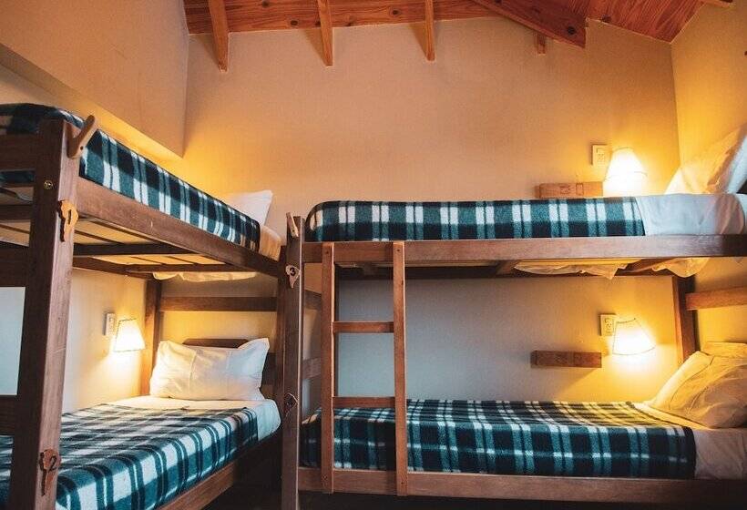 تختخواب در اتاق مشترک, America Del Sur Calafate Hostel