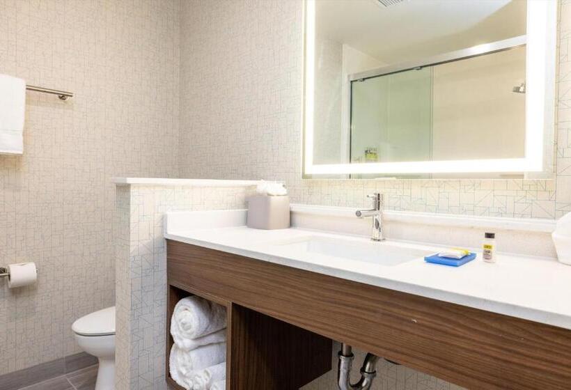 带大床的标准间, Holiday Inn Express & Suites   San Jose Silicon Valley, An Ihg