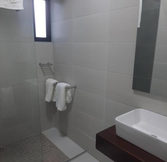 اتاق استاندارد, Terra Guest House