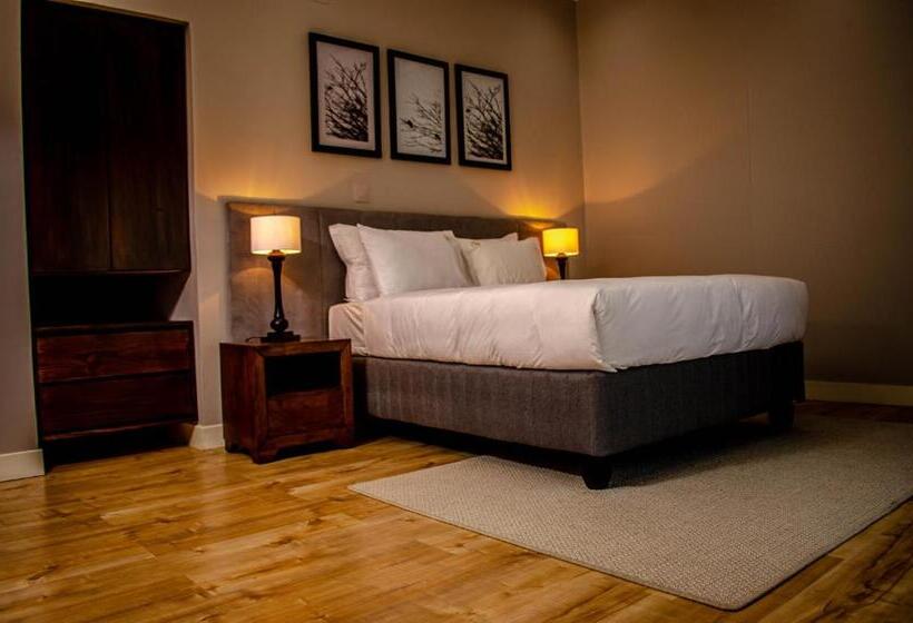 اتاق سوپریور, Terra Guest House
