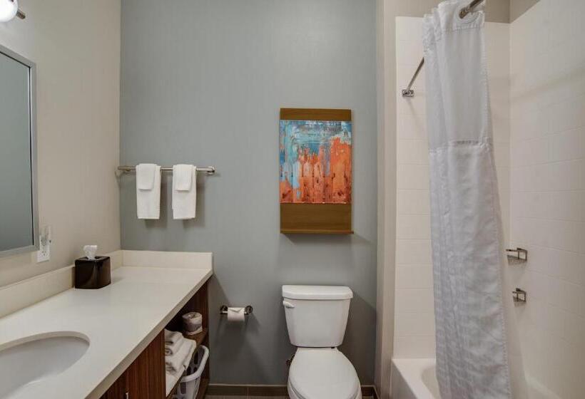 스위트 킹사이즈 침대, Mainstay Suites Carlisle  Harrisburg