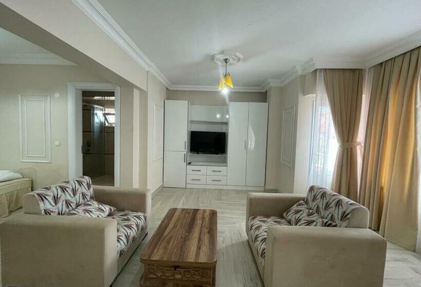 اتاق استاندارد, Vi̇zyon Resort