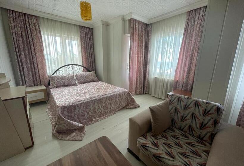 اتاق استاندارد, Vi̇zyon Resort