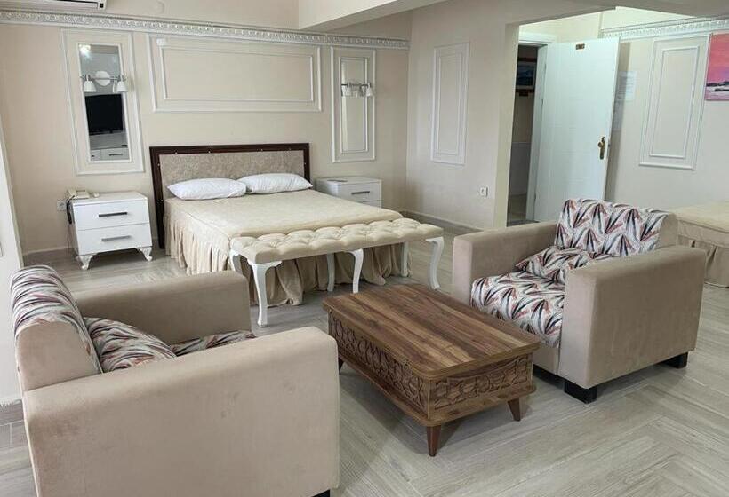 اتاق استاندارد, Vi̇zyon Resort