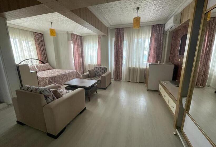 اتاق استاندارد, Vi̇zyon Resort