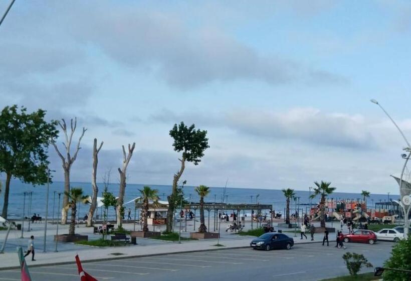 اتاق استاندارد, Vi̇zyon Resort