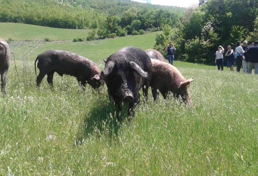 اتاق عادی, Resort La Dimora Maiale Brado Di Norcia