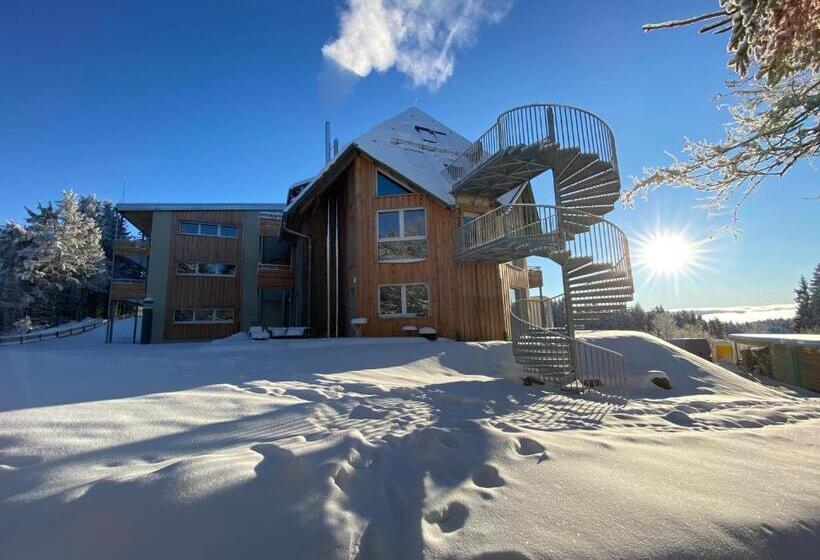 Студия Стандарт, Berghaus Freiburg   Appartement Hotel Auf Dem Schauinsland