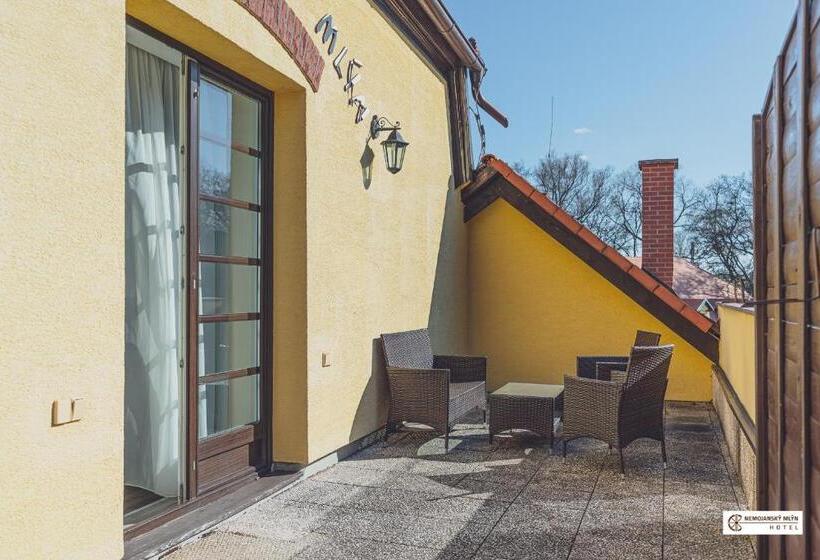 Апартаменты 1 Спальня с Террасой, Nemojanský Mlýn