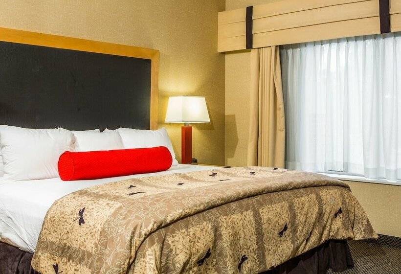Люкс, Cambria Hotel Akron   Canton Airport