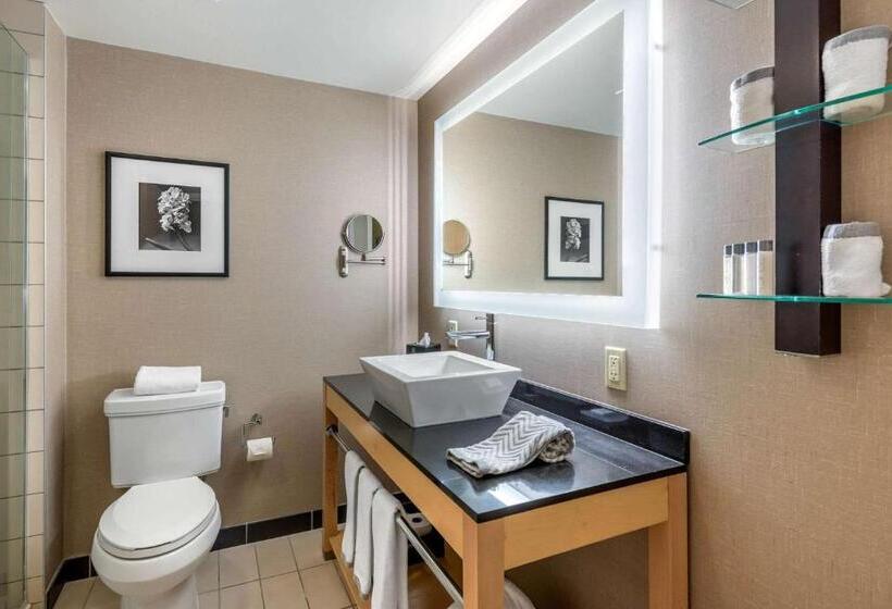 Полулюкс, Cambria Hotel Akron   Canton Airport
