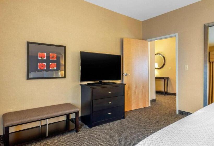 Полулюкс, Cambria Hotel Akron   Canton Airport