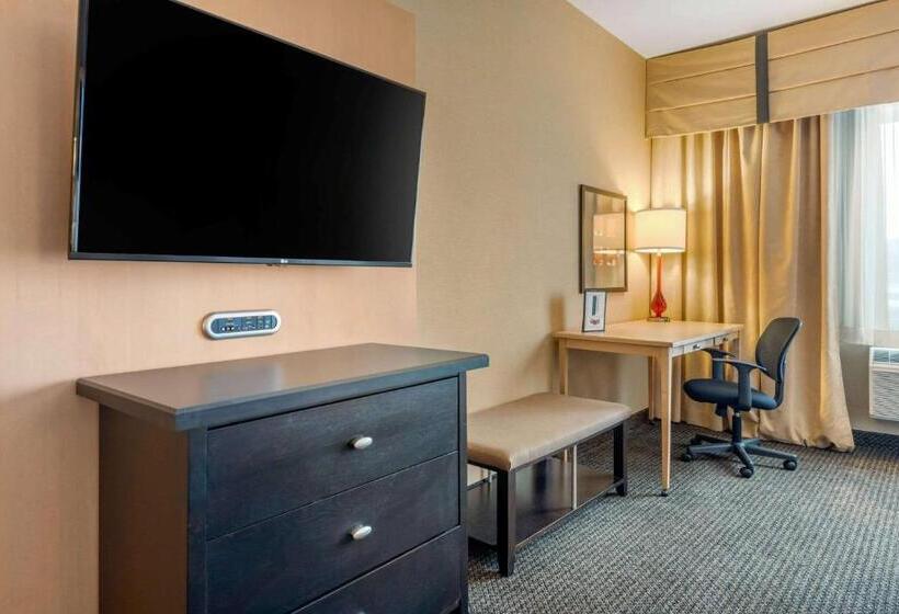 Номер Стандарт, Cambria Hotel Akron   Canton Airport
