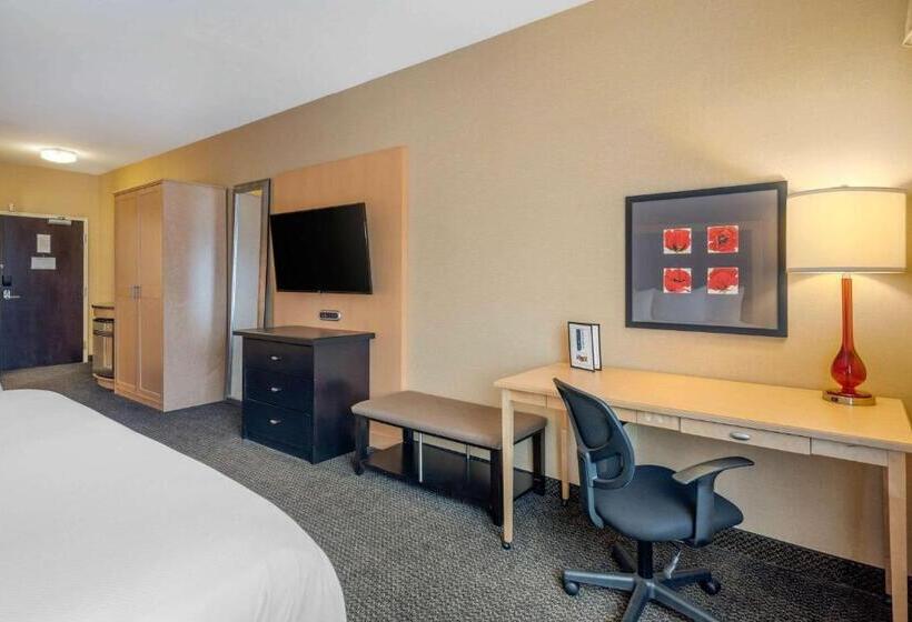 Номер Стандарт Кровать Кинг Адаптированный для Инвалидов, Cambria Hotel Akron   Canton Airport