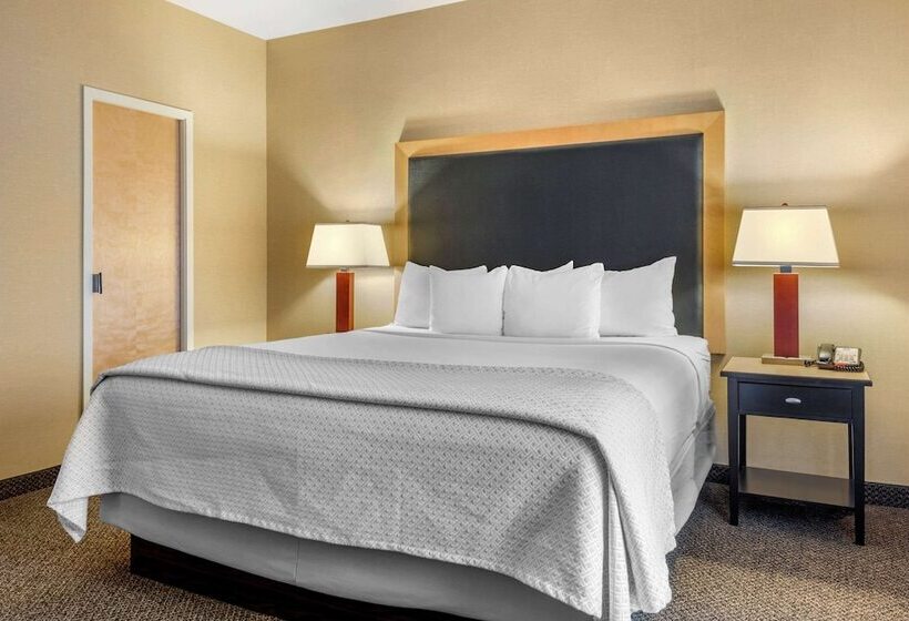 Люкс Адаптированный для Инвалидов, Cambria Hotel Akron   Canton Airport
