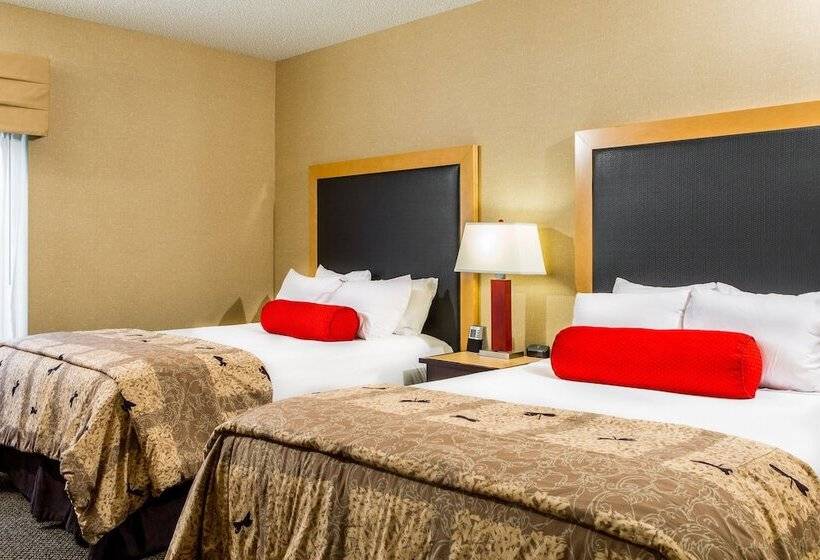 Номер Стандарт, Cambria Hotel Akron   Canton Airport