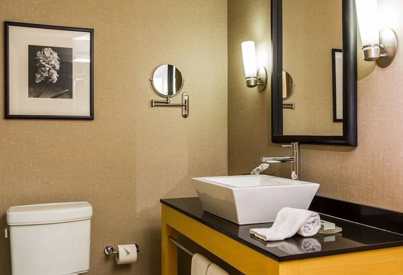 Люкс Адаптированный для Инвалидов, Cambria Hotel Akron   Canton Airport