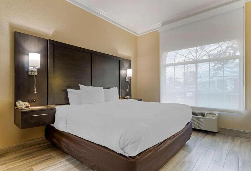 스위트 킹사이즈 침대, Comfort Suites Kingwood Houston North