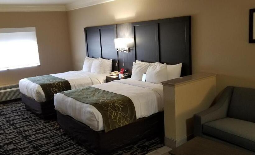 장애인을 위한 스위트, Comfort Suites Kingwood Houston North