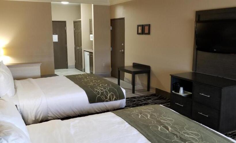 스위트, Comfort Suites Kingwood Houston North