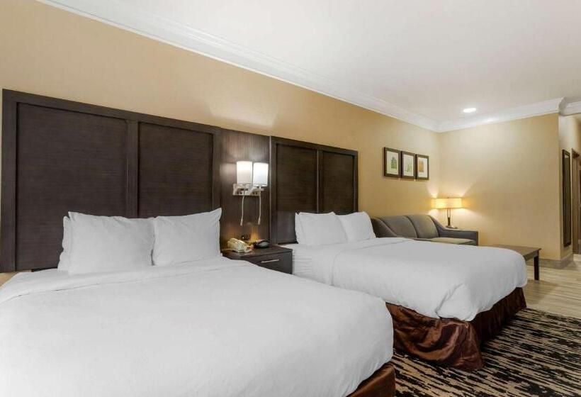 스위트, Comfort Suites Kingwood Houston North