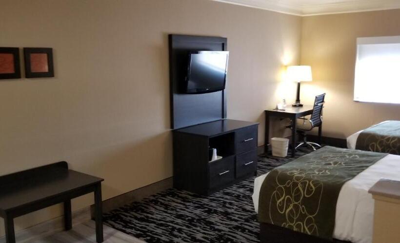 스위트 킹사이즈 침대, Comfort Suites Kingwood Houston North