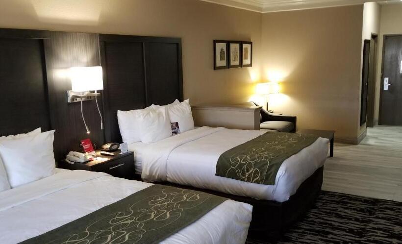 장애인을 위한 스위트, Comfort Suites Kingwood Houston North